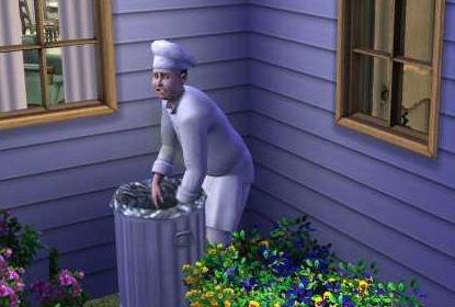sims3