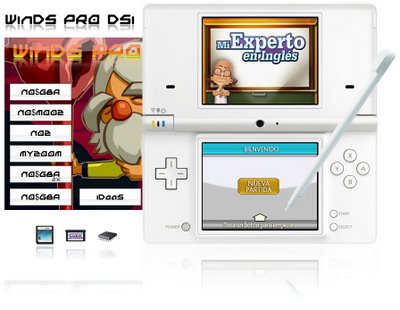 nintendo-dsi