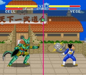 cellvegeta-300x261