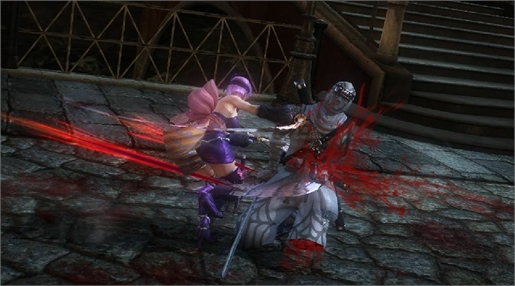 Ninja Gaiden Sigma 2 Plus 2(1)