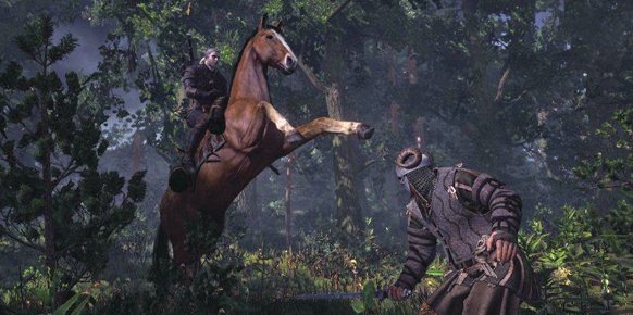 The Witcher 3 Wild Hunt 3