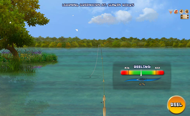 fish-pro