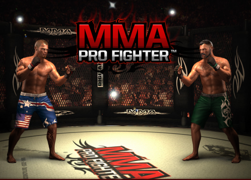 MMA Pro Fighter 1 (500x200)