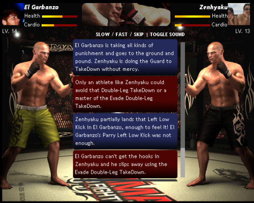MMA Pro Fighter 2 (500x200)