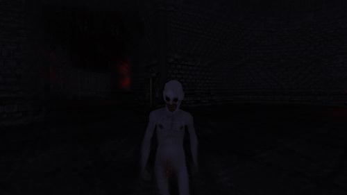 Amnesia Forgotten 2
